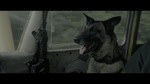 [UHD] Dog Stars.2026.WEBRip.2160p.HDR.10bit.x265.DDP5.1-MiLLK