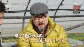 미리보기 이미지