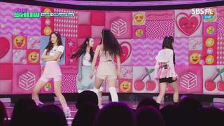 미리보기 이미지