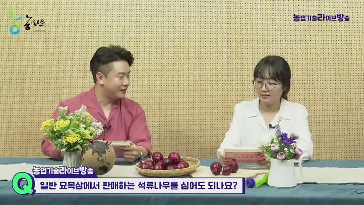 농업기술_석류 재배 이렇게 하세요 비디오 썸네일 이미지