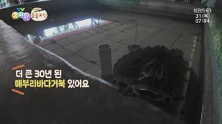 미리보기 이미지