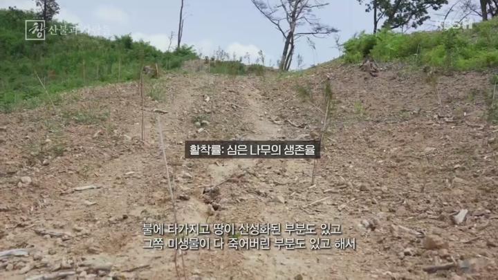 시사기획 창.E511.250715.720p.H264-F1RST 비디오 썸네일 이미지
