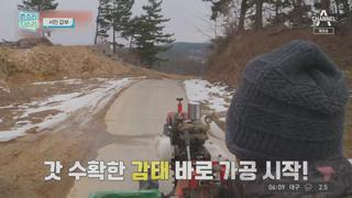 미리보기 이미지