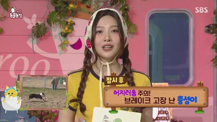 TV 동물농장.E1228.250706.450p.HANNA 비디오 썸네일 이미지