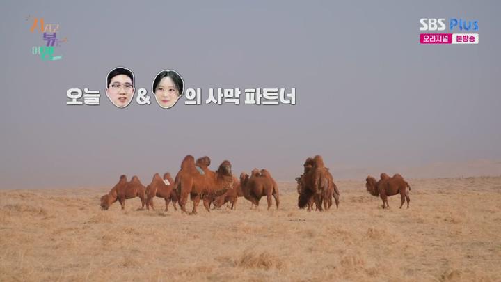 [천사]지지고 볶는 여행.E19.250718.1080p.H264-F1RST 비디오 썸네일 이미지
