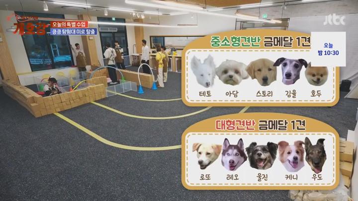 집 나가면 개호강.E03.250608.720p.mp4 비디오 썸네일 이미지