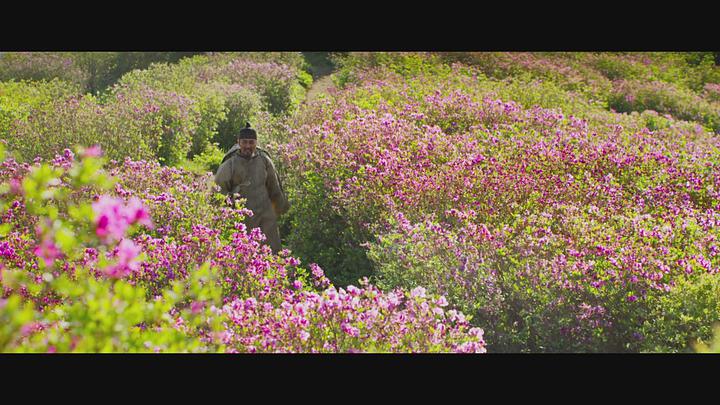 고산자 대동여지도 [1080p] -차승원, 유준상- 비디오 썸네일 이미지