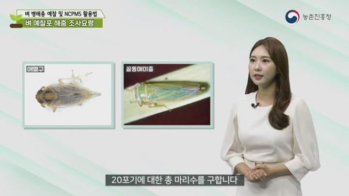 지속 가능한 농업 01. 벼 병해충 예찰 및 NCPMS 활용법 비디오 썸네일 이미지