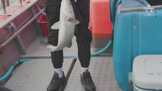 미리보기 이미지