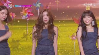 미리보기 이미지