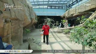 미리보기 이미지
