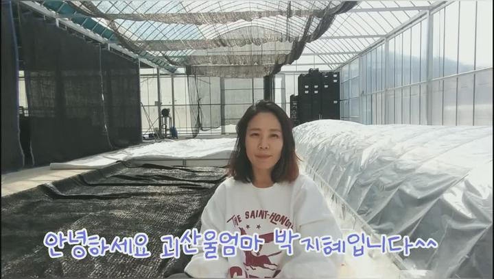 [감자재배] 씨감자 싹틔워 심는 이유는 비디오 썸네일 이미지