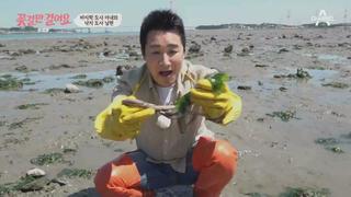 미리보기 이미지
