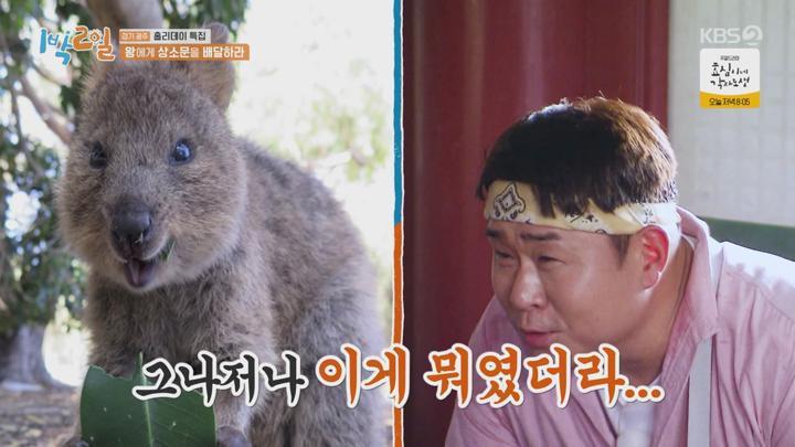 1박2일 시즌4.E193(경기 광주 홀리데이 특집 1탄).230917.720p.avi 비디오 썸네일 이미지