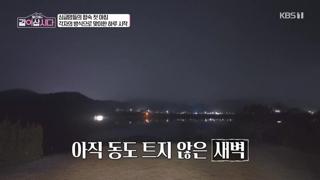 미리보기 이미지
