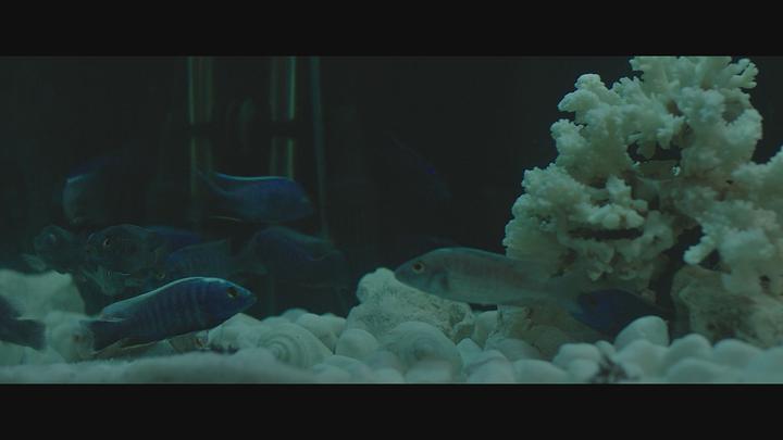 클로젯 [1080p] -하정우, 김남길- 정식릴 비디오 썸네일 이미지