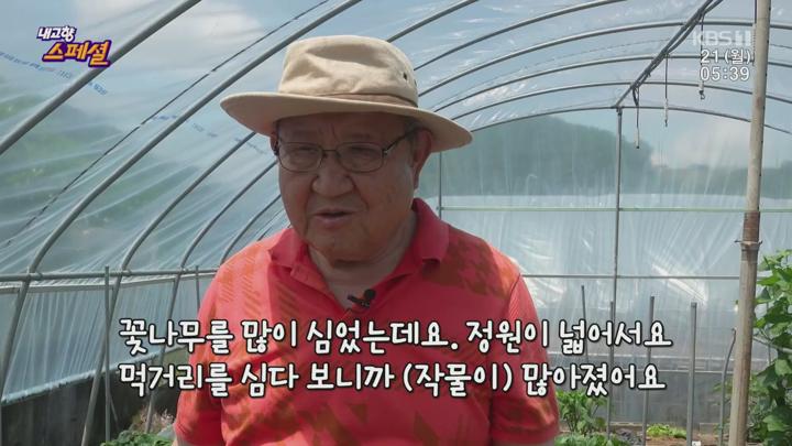 내고향 스페셜.E2050.250721.1080p.H264-F1RST 비디오 썸네일 이미지