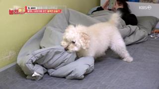 미리보기 이미지