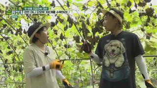미리보기 이미지
