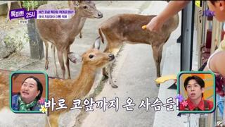 미리보기 이미지