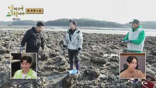 미리보기 이미지