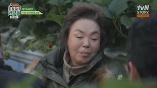 미리보기 이미지