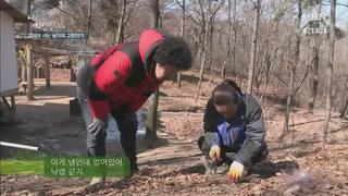미리보기 이미지
