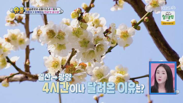 슈퍼맨이 돌아왔다.E570.250423.720p.mp4 비디오 썸네일 이미지