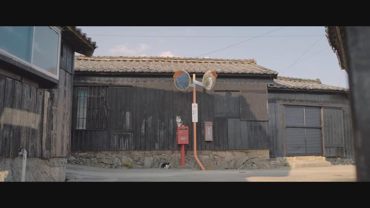 [고양이와 할아버지]휴식 같은 힐링 영화 고양이 섬에 오신걸 환영해요 비디오 썸네일 이미지