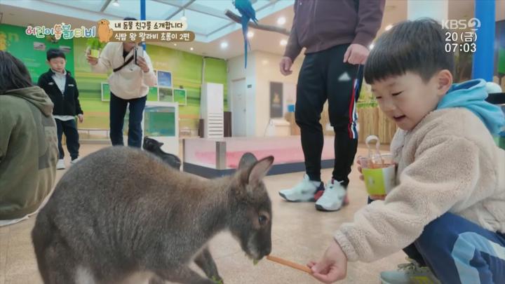 어린이 동물티비.E177.250620.720p.H264-F1RST 비디오 썸네일 이미지