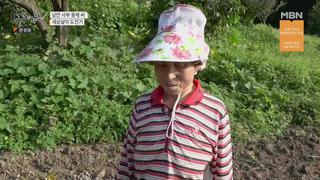 미리보기 이미지