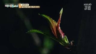 미리보기 이미지