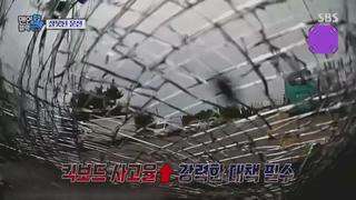 미리보기 이미지