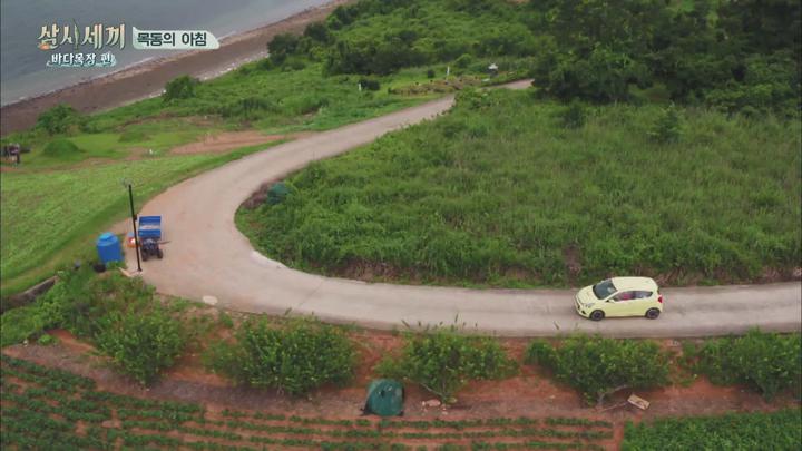 삼시세끼 시즌7 바다목장편 E02.20170811.1080P.H264 비디오 썸네일 이미지