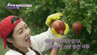 미리보기 이미지