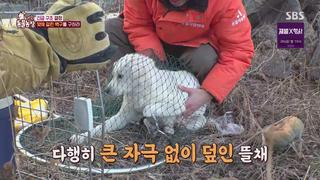 미리보기 이미지