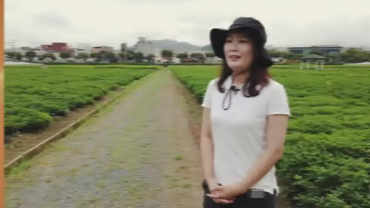 농업기술_땅콩 주요 육성 품종 비디오 썸네일 이미지
