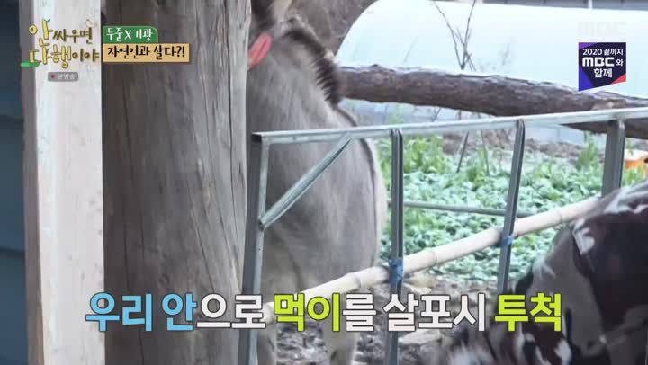 안싸우면 다행이야.E11.201226.1080p-NEXT 비디오 썸네일 이미지