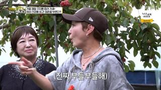 미리보기 이미지