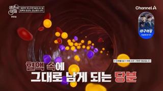 미리보기 이미지