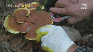 미리보기 이미지