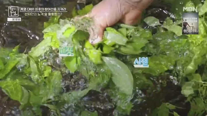 천기누설.E677.250620.720p-NEXT 비디오 썸네일 이미지