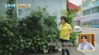 미리보기 이미지