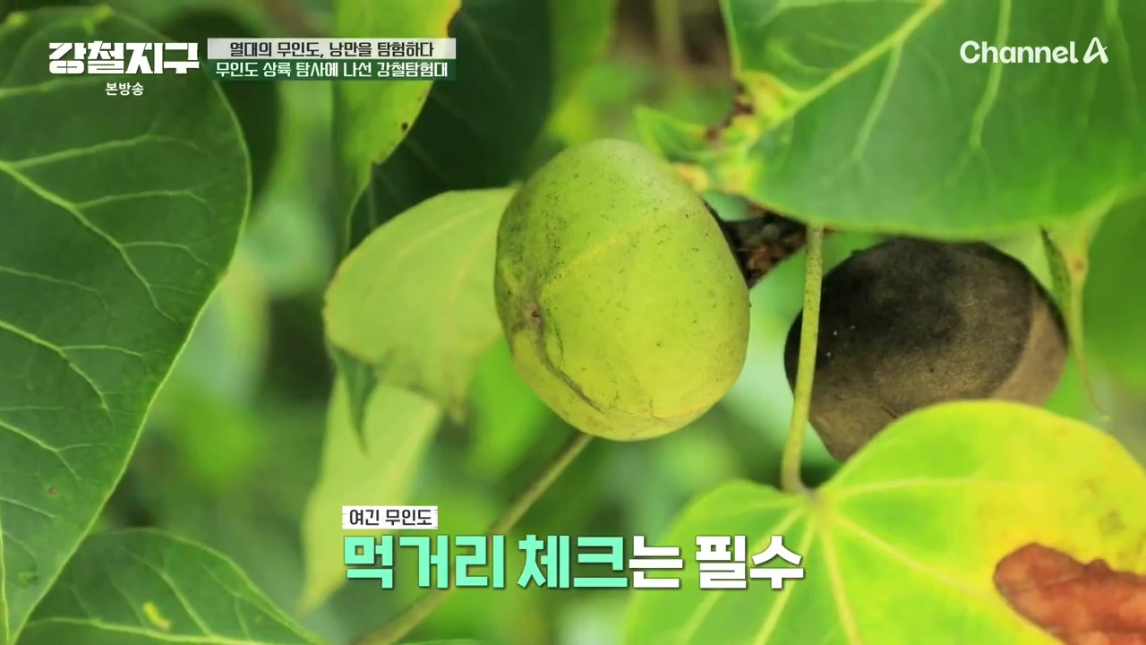 썸네일 이미지