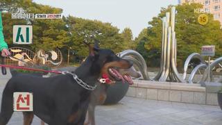 미리보기 이미지