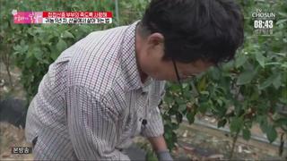미리보기 이미지