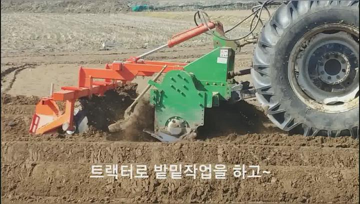 [감자재배] 감자심는 방법 비디오 썸네일 이미지