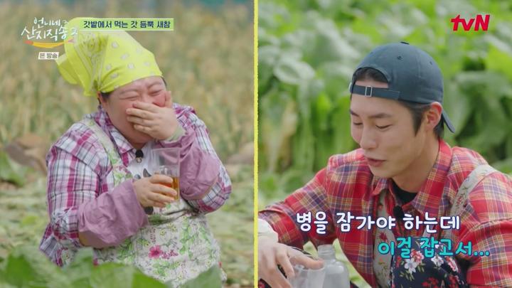 언니네 산지직송2.E12.250629.720p-NEXT 비디오 썸네일 이미지