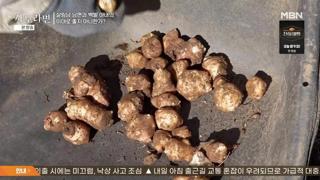 미리보기 이미지