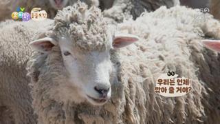 미리보기 이미지